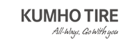 SysTech Automotive Tire Brands